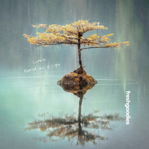 Dengarkan lagu Spaced Out nyanyian Lumini dengan lirik