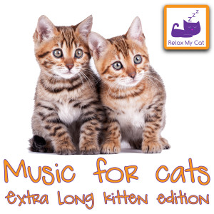 Dengarkan lagu Scotish Hills nyanyian RelaxMyCat dengan lirik
