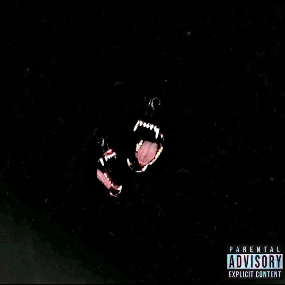 WHY YOU THINK? (Explicit)