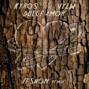 Album Dulce Amor (Feshon Remix) from Kyros