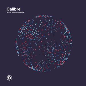 Listen to Typical Things song with lyrics from calibre
