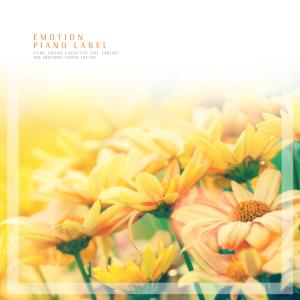 Listen to When you are tired song with lyrics from Jieum