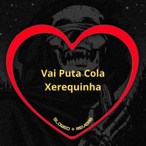 Listen to Vai Puta Cola Xerequinha (Slowed + Reverb|Explicit) song with lyrics from Love Fluxos
