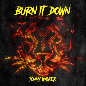 Album Burn It Down from Tommy Walker