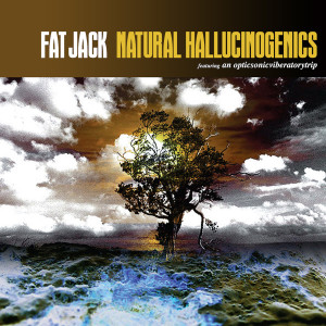 Listen to Burn the Izm (Explicit) song with lyrics from Fat Jack