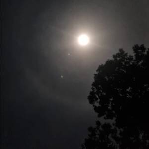 Listen to ก้มมองดอกไม้ที่อยู่ในมือ song with lyrics from GOLLUMBOY