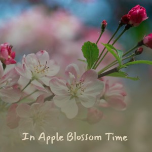 อัลบัม In Apple Blossom Time ศิลปิน Various