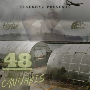Album 48 Laws of ******** (Explicit) from Liqz