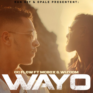 Listen to Wayo (Edit) song with lyrics from Cg Flow