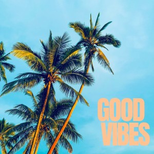 Listen to Good Vibes song with lyrics from Ngyn
