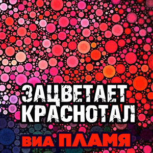 Album Зацветает краснотал oleh ВИА Пламя
