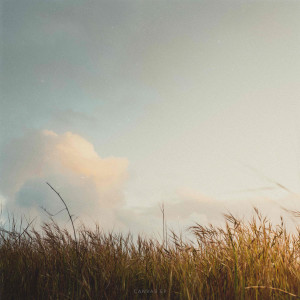 Album Canvas from Beatific Vision