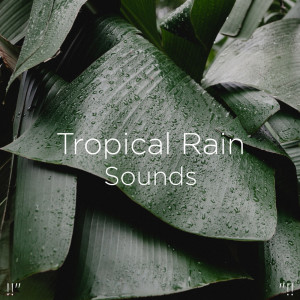 收听Rain Sounds的Rain On Roof歌词歌曲