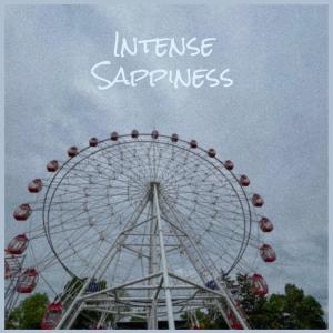 Various Artists的专辑Intense Sappiness