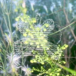 1rokit的專輯Fruit of Life (feat. yves aoi, jian & Chris Wallace)