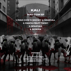 Kali的專輯Mad Cow EP (Explicit)