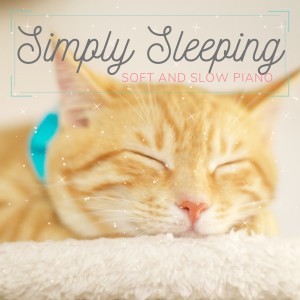 Listen to Time of Simple Sleep song with lyrics from Piano Cats