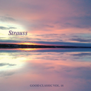 ดาวน์โหลดและฟังเพลง The Blue Danube พร้อมเนื้อเพลงจาก Armonie Symphony Orchestra