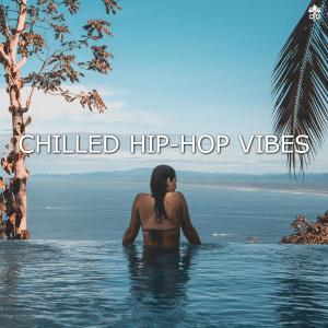 Album Chilled Hip-Hop Vibes from Various