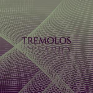 ดาวน์โหลดและฟังเพลง Obvious Track พร้อมเนื้อเพลงจาก Breno Paer
