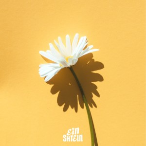 收听EINSHTEIN的運命歌词歌曲