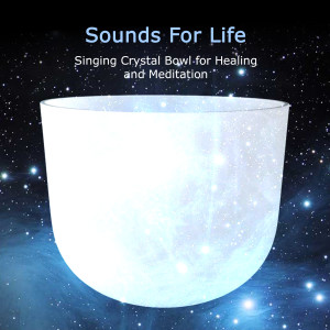 Listen to Crystal Bowl Long Spaced Hits song with lyrics from Sounds for Life