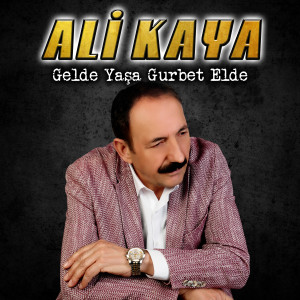 Listen to Şu Kelkitin İçinde song with lyrics from Ali Kaya