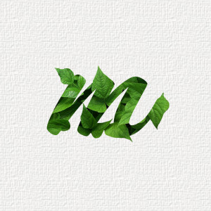 收聽The Medium的Nothing but the Best (Explicit)歌詞歌曲