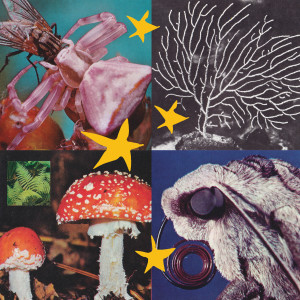 Album All Things Considered, Vol. 2 from 