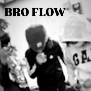 mudski1k的專輯Bro flow (feat. krazyK & Luhmajor) [Explicit]
