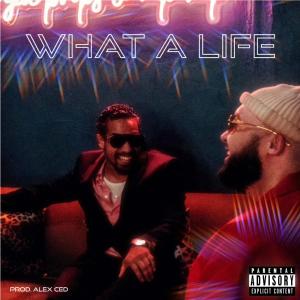 Alex Ced的專輯What a Life (feat. Top Ramiin) (Explicit)