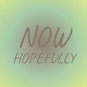 Album Now Hopefully from 