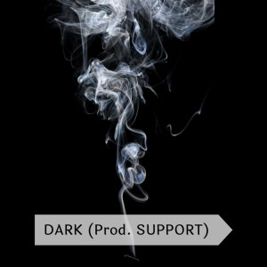 Dengarkan DARK (prod. SUPPORT) lagu dari SUPPORT dengan lirik