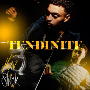 Stick的專輯TENDINITE