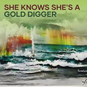 Album She Knows She's a Gold Digger from DJ Bobby