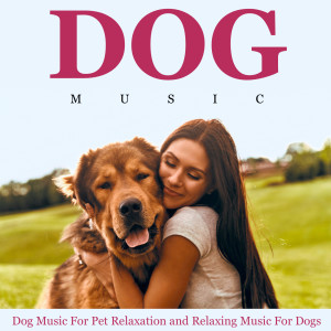 Listen to Dog Music song with lyrics from Dog Music