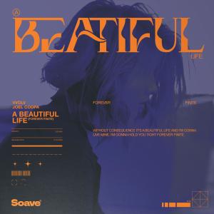 อัลบัม A Beautiful Life (Forever Finite) ศิลปิน VVOLV