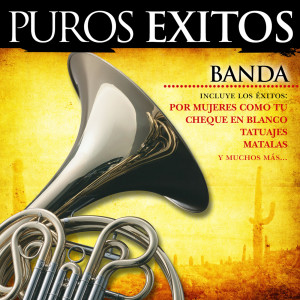 Fernando Díaz de la Peña González的專輯Puros Éxitos: Banda