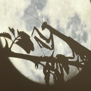 ดาวน์โหลดและฟังเพลง Leugnung พร้อมเนื้อเพลงจาก Subkutan