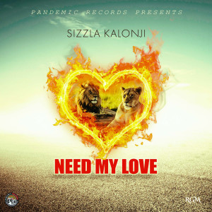 Need My Love dari Sizzla Kalonji