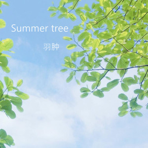 羽肿的专辑Summer Tree