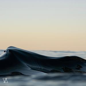 ดาวน์โหลดและฟังเพลง Merda fins el coll (Explicit) พร้อมเนื้อเพลงจาก VaniLa