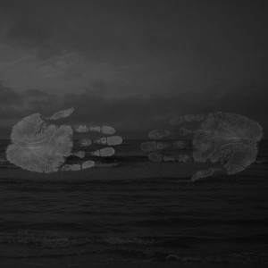 SunMa的專輯Little Isle