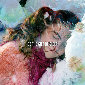 53 The Gift Of Sleep
