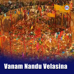 Listen to Vanam Nandu Velasina song with lyrics from Shaeed Babu
