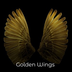 Album Golden Wings (Explicit) from Various