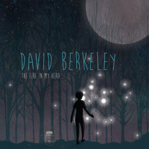 David Berkeley的專輯The Fire in My Head