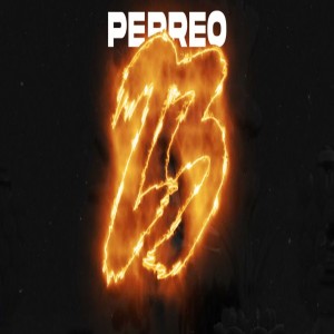 Listen to 23 Perreo song with lyrics from TikTok