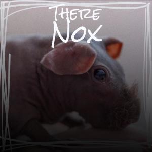 Various的专辑There Nox