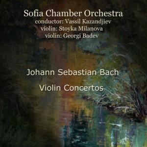 ดาวน์โหลดและฟังเพลง Concert for Violin and Orchestra in A Minor, BWV 1041: 2. Andante, with an ostinato style theme พร้อมเนื้อเพลงจาก Sofia Chamber Orchestra